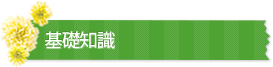 基礎知識